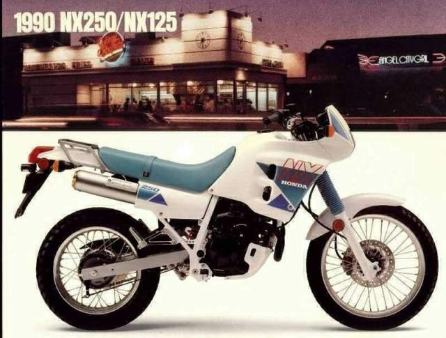 Honda Dominator NX250